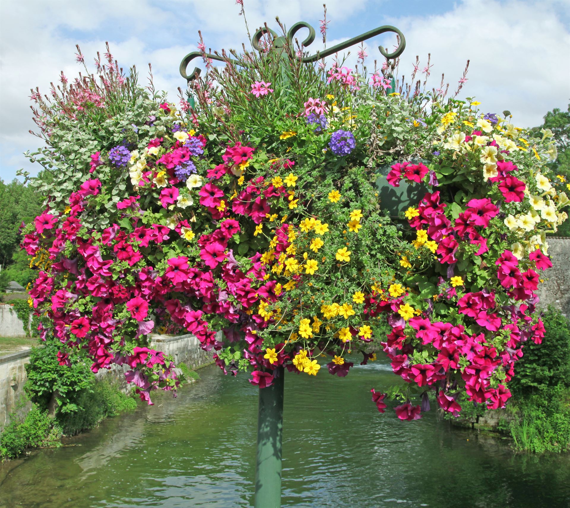 Suspensions florales à Jarnac