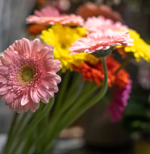 Bouquet_fleurs_orange